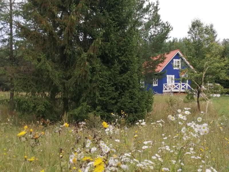 Swiety Spokoj Laka I Woda Pozezdrze Esterno foto