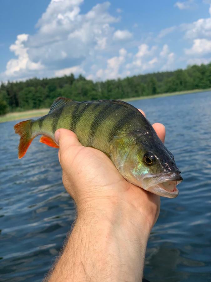Swiety Spokoj Laka I Woda Pozezdrze Esterno foto